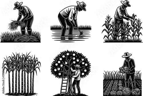 Vintage woodcut farmers harvesting crops, picking fruit from tree, tending rice paddy, sugarcane field, and vegetable garden, cad drawing flat vector illustration.