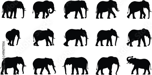 Elephant, silhouettes, collection, set, black, wildlife, animal, isolated, white, background, mammal, safari, icons, vector, minimal, flat, design, graphic, bundle, illustration
