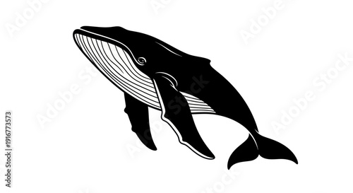 Black and white whale illustration on white background vector design