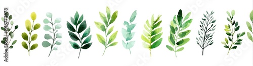 Watercolor botanical illustration of various green leaves and branches in a row, white background