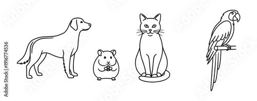 A dog, hamster, cat, and parrot are depicted together in a simple line drawing, showcasing various pets in a minimalist style from a straightforward viewpoint.