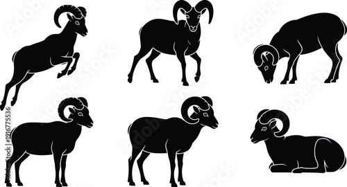 Black vector silhouette set of mountain rams and bighorn sheep in various poses including jumping standing and grazing for nature wildlife and animal   