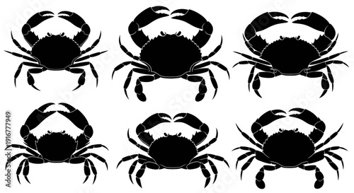 Multiple black crab silhouettes arranged in two rows on a clean background from a straightforward viewpoint
