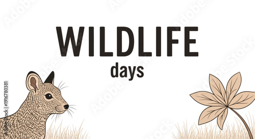 Wildlife illustration of a small animal in natural habitat