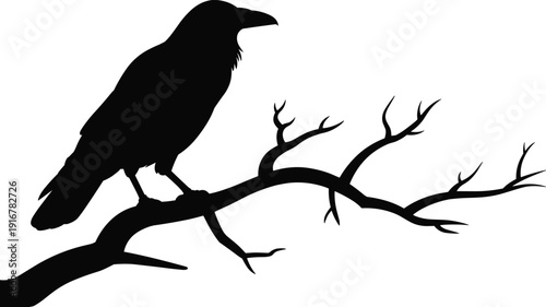 bird, crow, raven, branch, tree, silhouette, nature, wildlife, perched, black, stark, contrast, solitude, mystery, forest, feather, avian, flight, perched, eerie, symbolic