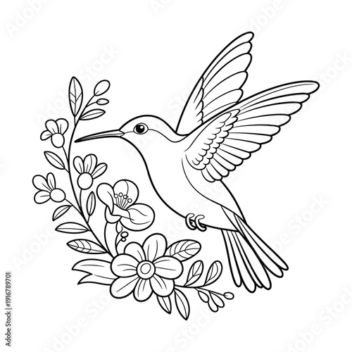 Artistic outline illustration of a delicate hummingbird hovering near blooming flowers and foliage on a transparent background