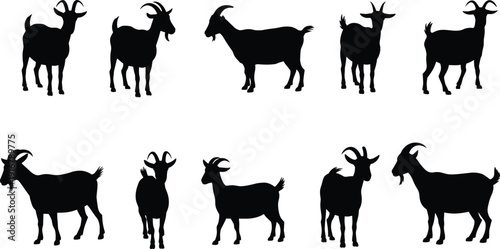 Goat silhouettes horned livestock farm animals rural agriculture vector illustration set collection standing black design
