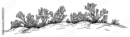 Coral reef underwater scene sketch