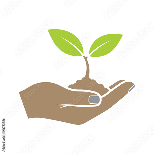 Hand Holding Small Green Plant Soil.