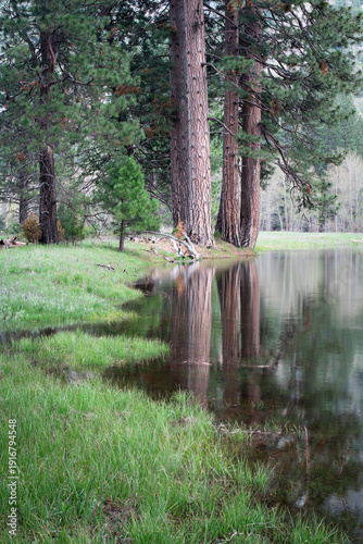 Merced River Reflection