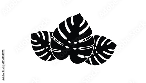 Three black silhouette Monstera leaves on a white background.