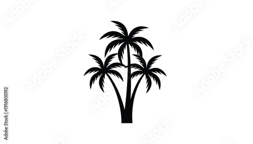 Three tropical palm trees silhouette vector icon design.