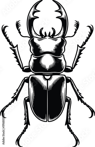Stag beetle silhouette insect bug entomology black vector illustration isolated nature emblem symbol design