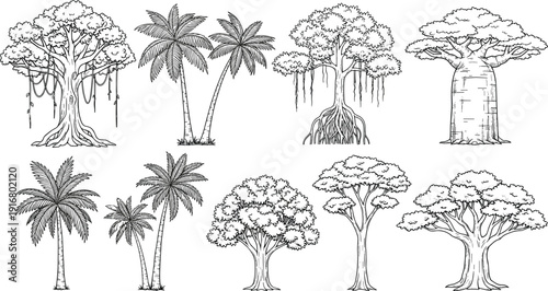 Hand Drawn Tropical Tree Collection Featuring Banyan Mangrove Baobab and Palm Trees Isolated Black and White Vector Illustration for Nature Conservation and Botanical Design Projects