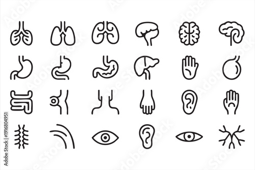 Internal Organs and Skeletal Elements Minimal Icons