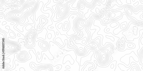 Minimal white line geometric grid outline curve counter map and wavy topography relief discovery area white, black line texture background.