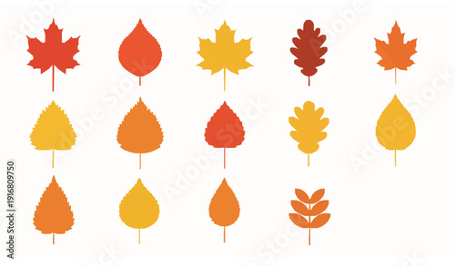 Colorful autumn leaves vector set with maple oak and birch fall foliage