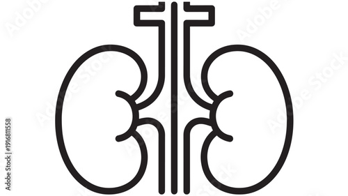 Kidney icon in black outline showing human renal system and ureters, minimalist medical symbol for healthcare, nephrology, urology, diagnosis and treatment