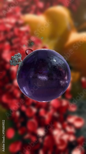 Insulin binding to cell receptors to control blood sugar and support glucose absorption in the body, insulin hormone into the bloodstream for glucose regulation in a detailed biological medical visual