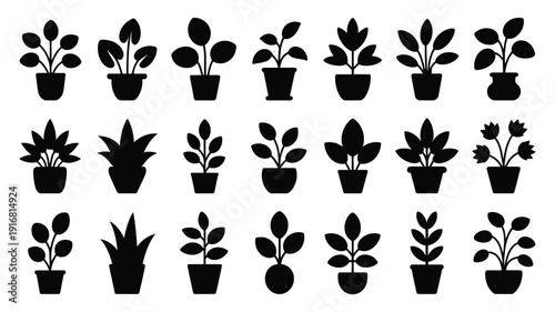 Black silhouettes of various potted plants and flowers on white background for design and decoration