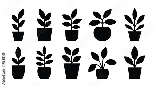Black silhouettes of various potted plants on white background leafy greens in pots for gardening and interior design concepts