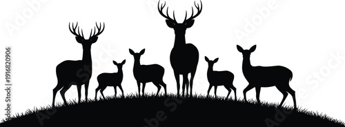 Crane bird silhouette collection, heron and stork vector set, aquatic bird shapes, standing and flying avian outlines, nature wetland graphics, isolated wildlife icons, flat vector illustration.