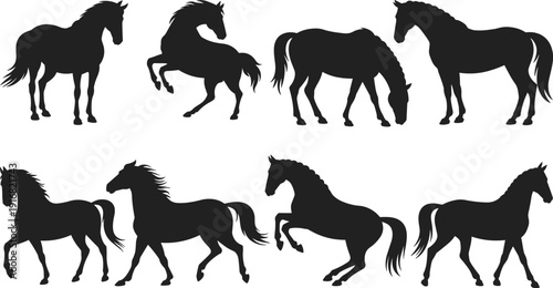 Horse silhouette set, running standing grazing and rearing horse collection, equine animal black vector illustration, farm and wild horse clipart pack