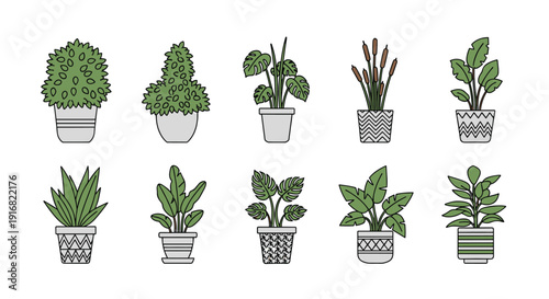 Set of different indoor potted plants with green leaves and various decorative pots suitable for home or office interior design elements.