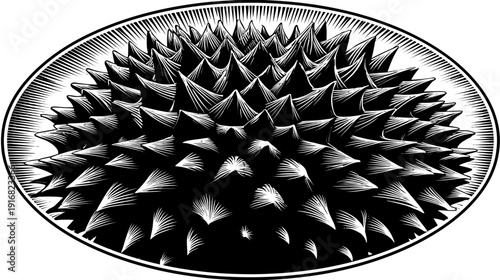 A black and white illustration of a spiked orb within a bordered oval, detailed woodcut style