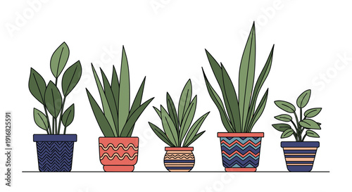 Row of five different indoor green plants in decorative ceramic pots with various patterns including zigzags and waves on white background.