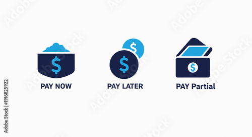Payment options icons: pay now with cash, pay later with credit, and partial payment with wallet for financial transactions.