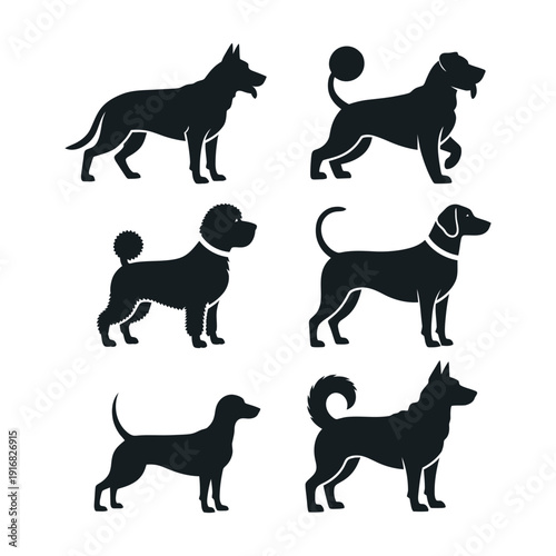 A collection of diverse dog breed silhouettes showcasing various common standing postures