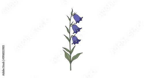 Elegant botanical illustration shows a single green stem supporting three drooping purple bellflowers in a natural and graceful composition.