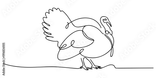 Male wild turkey continuous one line drawing, One continuous line.Turkey bird. Holiday symbol. Thanksgiving Day. One continuous line on a white background, turkey bird single line drawing vector, pro.