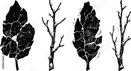 detailed black ink silhouette illustrations of cracked autumn leaves and bare tree branches