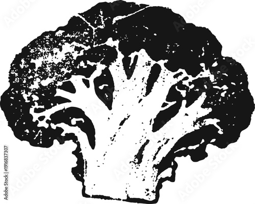 Black and white broccoli illustration fresh vegetable black silhouette isolated on white background healthy food icon and organic nutrition symbol