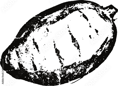Grainy black and white illustration of a cocoa pod fruit with texture and shading