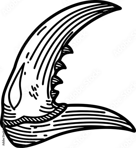 Claw with sharp jagged teeth detailed black line art illustration isolated on white
