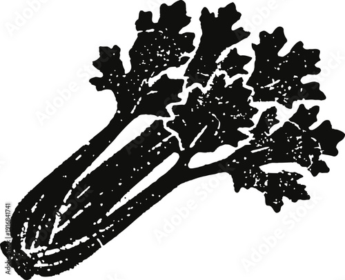 Fresh celery stalks with leafy tops organic crunchy vegetable, healthy green food ingredient