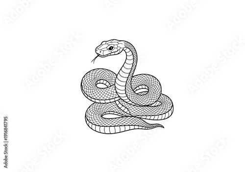 Detailed Line Drawing of a Coiled Serpent with Hood Raised Against a White Background