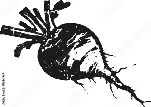 Black and white beetroot illustration with detailed texture and root vegetable design