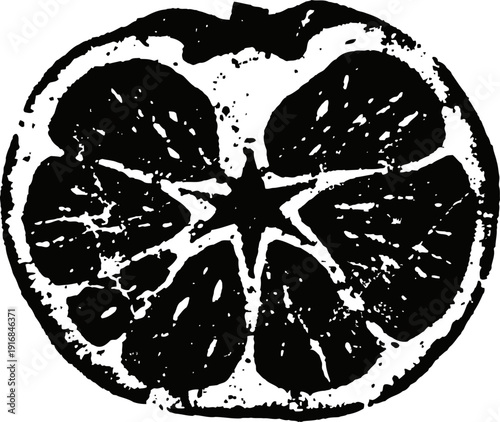 Black and white citrus fruit slice vintage hand drawn orange or grapefruit cross section monochrome citrus texture illustration