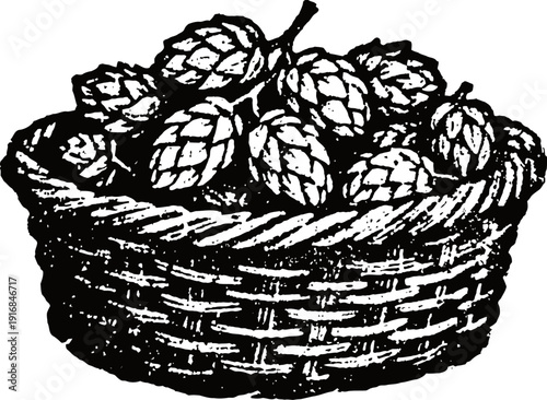 Basket of hops cones herbal plant used in brewing and natural remedies