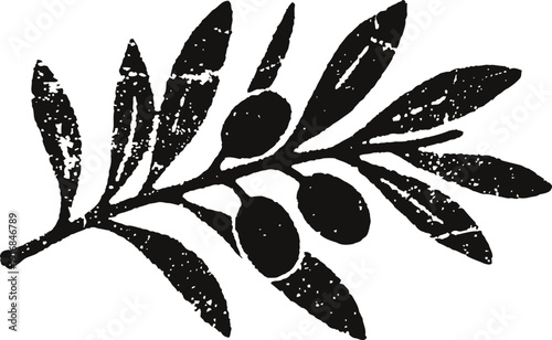 Black olive branch silhouette with leaves and ripe olives design element