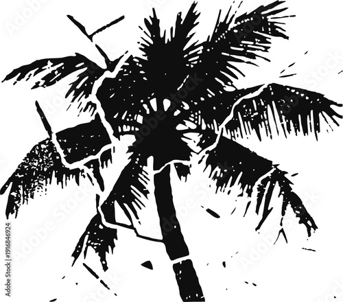 black and white silhouette of a broken palm tree with sparse leaves in a minimalist