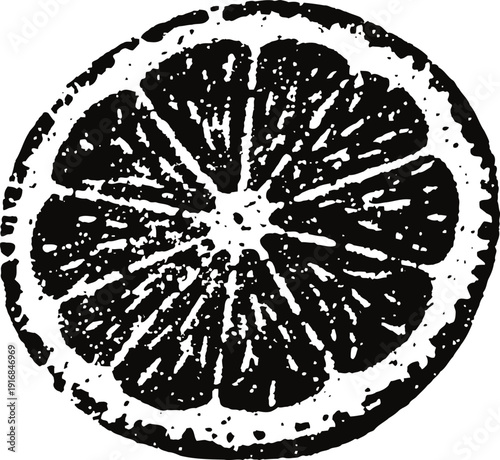 Black and white orange slice illustration with textured vintage and detailed citrus wedge segments