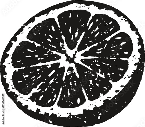 Black and white citrus fruit slice illustration vintage lemon or orange cross section drawing, textured, detailed, monochrome design
