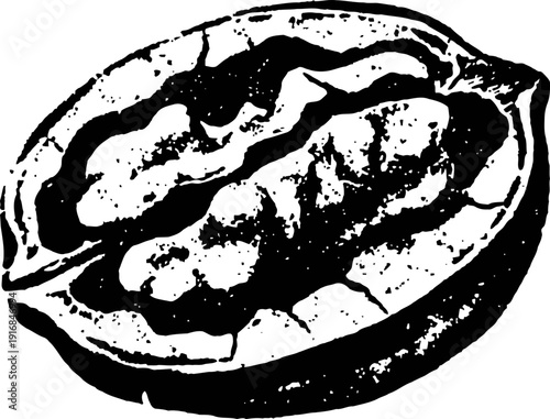 Close up black and white illustration of a half walnut shell with detailed nut texture