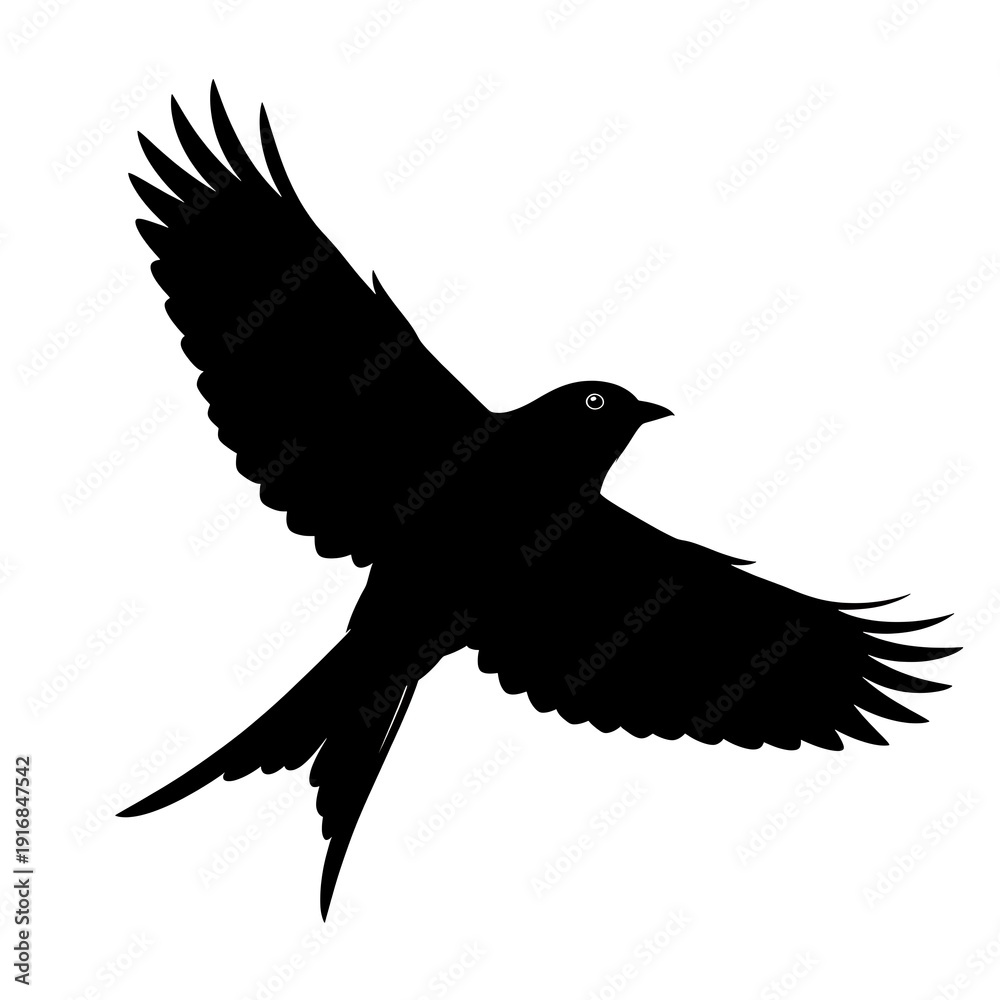 Obraz premium Black silhouette bird in flight.
