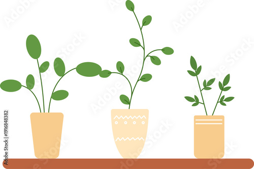 Urban jungle plants. Decorative interior green houseplants